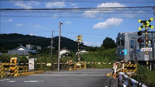 秩父鉄道踏切161