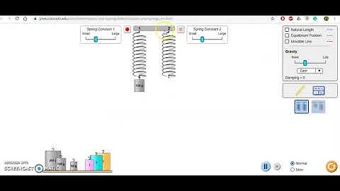 Phet Simulation Hooke