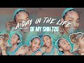 A DAY IN THE LIFE OF A DOG MOM | Food, Bathtime & Our Schedule!!