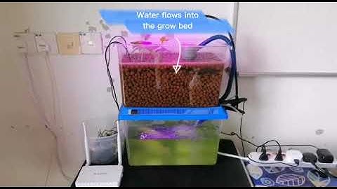 Smart Tabletop Aquaponics Prototype Demonstration
