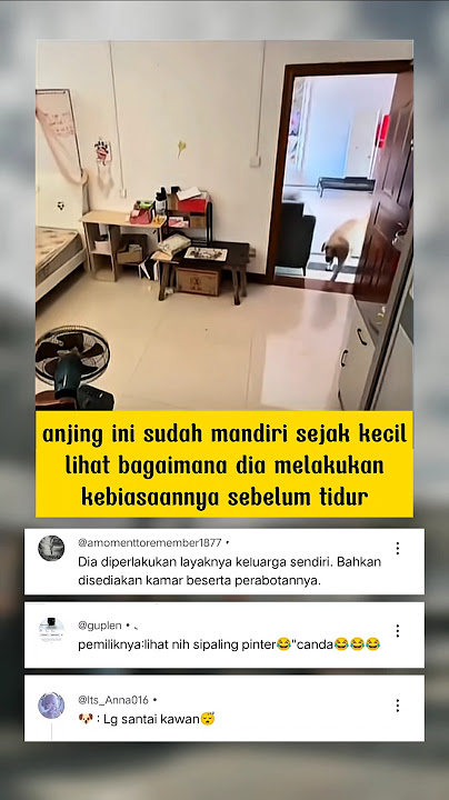 🐕woi lagi santai nih kawan #trending