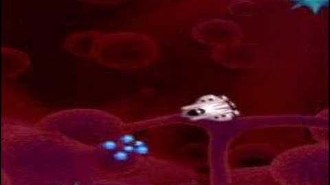 Gameplay demo - Asteroids