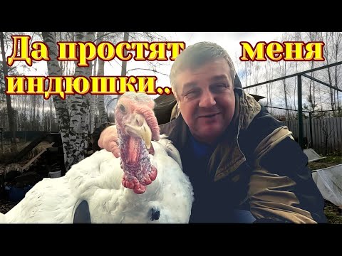 Видео: Лучше не бывает 400 кг мяса