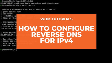 WHM Tutorials- How to Configure Reverse DNS for IPv4