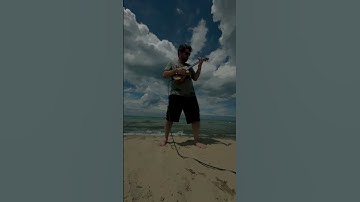 Pipeline Ukulele Cover at Indiana Dunes | Spark Mini + Flight Fireball Tenor