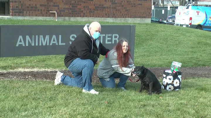 Reunited and it feels so good: Dog, owner reunited...