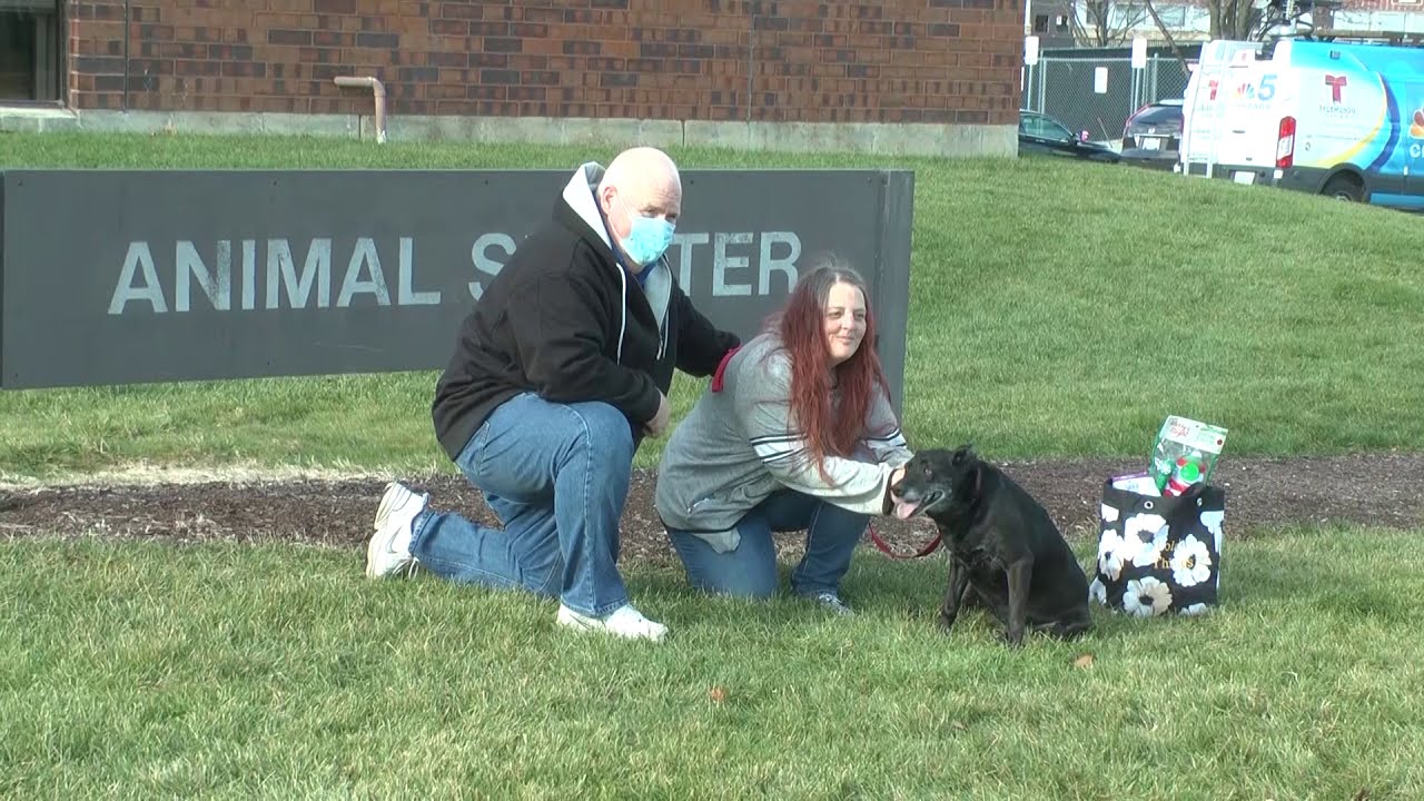 Reunited and it feels so good: Dog, owner reunited after three years ...