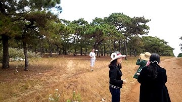 Thăm quan đồi cỏ hồng đăk đoa gia lai