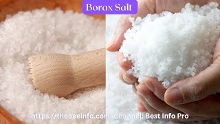 Bed Bugs Home Remedy | Get Rid of Bedbug with Borax Salt and Baking Soda