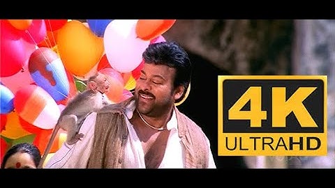 Chik Buk Pori 4K Video Song Anji  Chiranjeevi, Namrata Shirodkar #4k #4kvideosong #remastered #anji