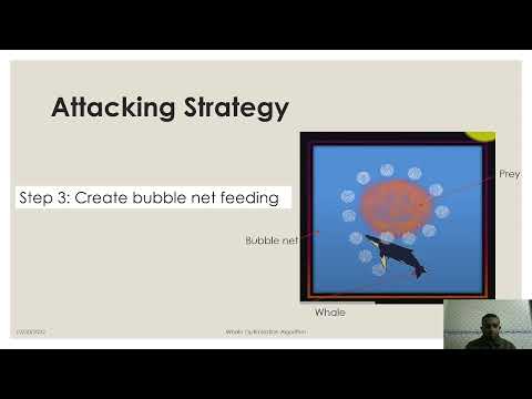 Whale Optimization Algorithm