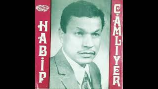 Habi̇p Çamliyer Cemile Orjinal 45Lik Plak