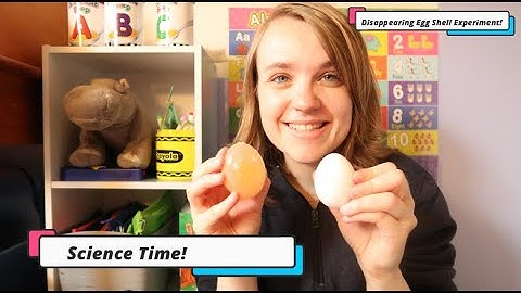 Science Time! - Disappearing Egg Shell Experiment!