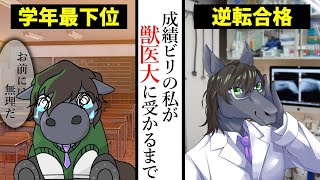 【雑談配信】偏差値40台が私立獣医学部を1年間の浪人で合格した勉強法【EquuStream V#204】