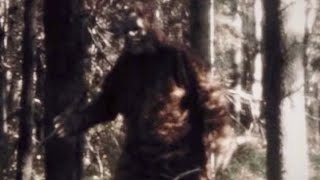 Was it a Sasquatch or was it the Jersey Devil