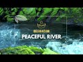 Aquatic Meditation: Relax and Unwind with the Soothing Sounds of a River