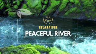 Aquatic Meditation: Relax and Unwind with the Soothing Sounds of a River