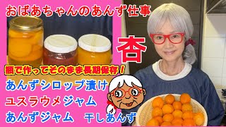 【あんずシロップ漬け、あんずジャム、干しあんずを作ろう】オマケのユスラウメ　おばあちゃんの杏仕事