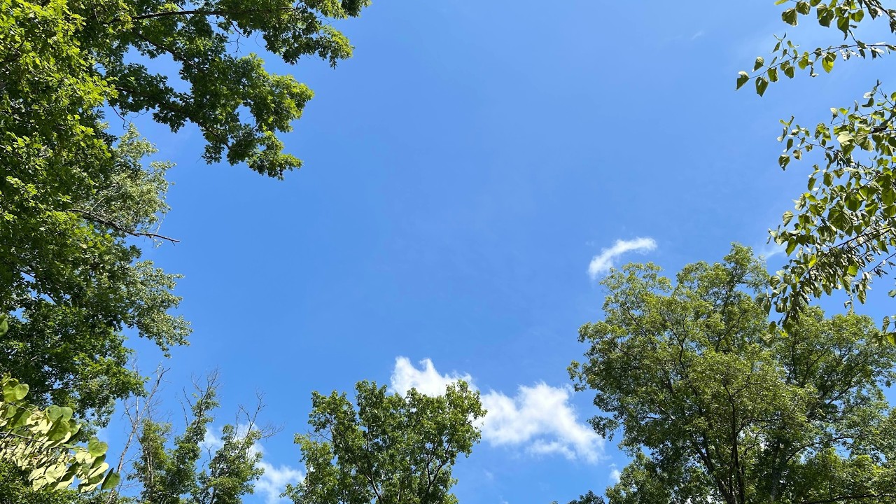 Appalachian Sky -- Forest Light & Mountain Air