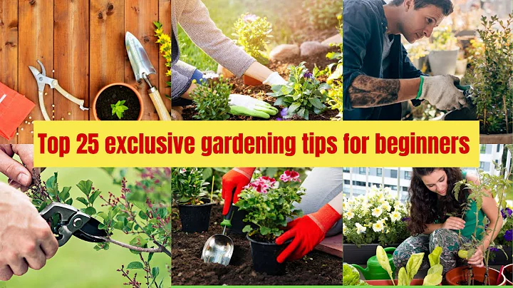 Top 25 gardening tips for beginners | Tips for new gardeners