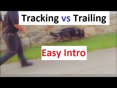 how do k9 dogs track