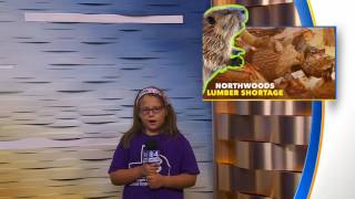 State Fair Experience Day 3 Session 81