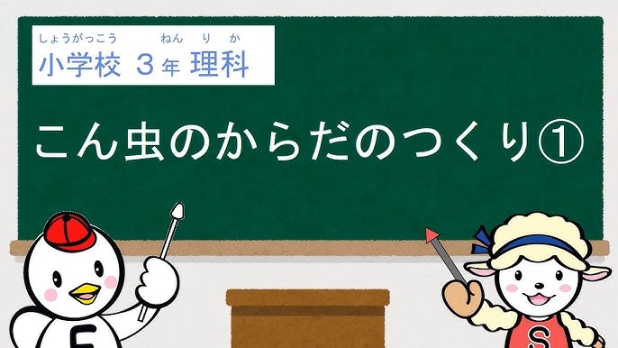 小学3年理科 植物を育てよう 1たねをまこう 2どのくらい育ったかな Youtube 小学3年理科 植物を育てよう 1たねをまこう 2どのくらい育ったかな Youtube