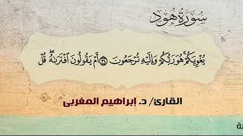 11- هود.. القارئ / د. إبراهيم المغربي