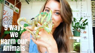 5 Ways We Unintentionally Harm Our Animals With Anthropomorphism