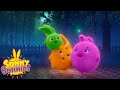 SUNNY BUNNIES - Lighting up the Dark | Season 1 | Cartoons for Children