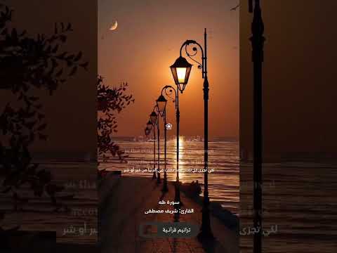 إن الساعة آتية أكاد أخفيها القارئ شريف مصطفى