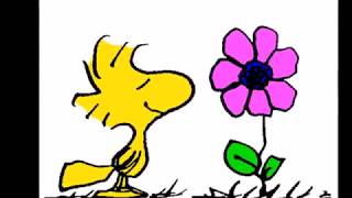 Woodstock Flower Power Effects