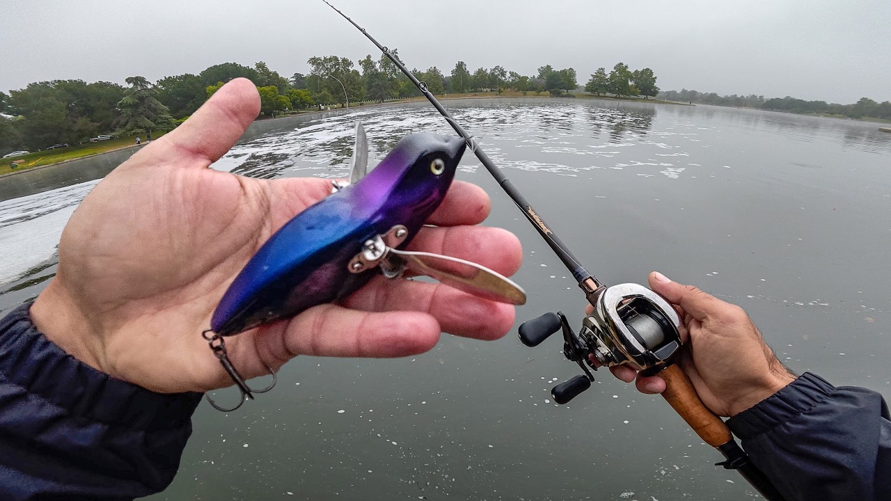 Bass CRUSHED This Baby Bird Lure! (Crazy Topwater Blowups)