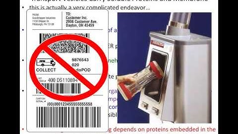 Lecture 14 - Intracellular Transport - Chapter 15 - Part 2