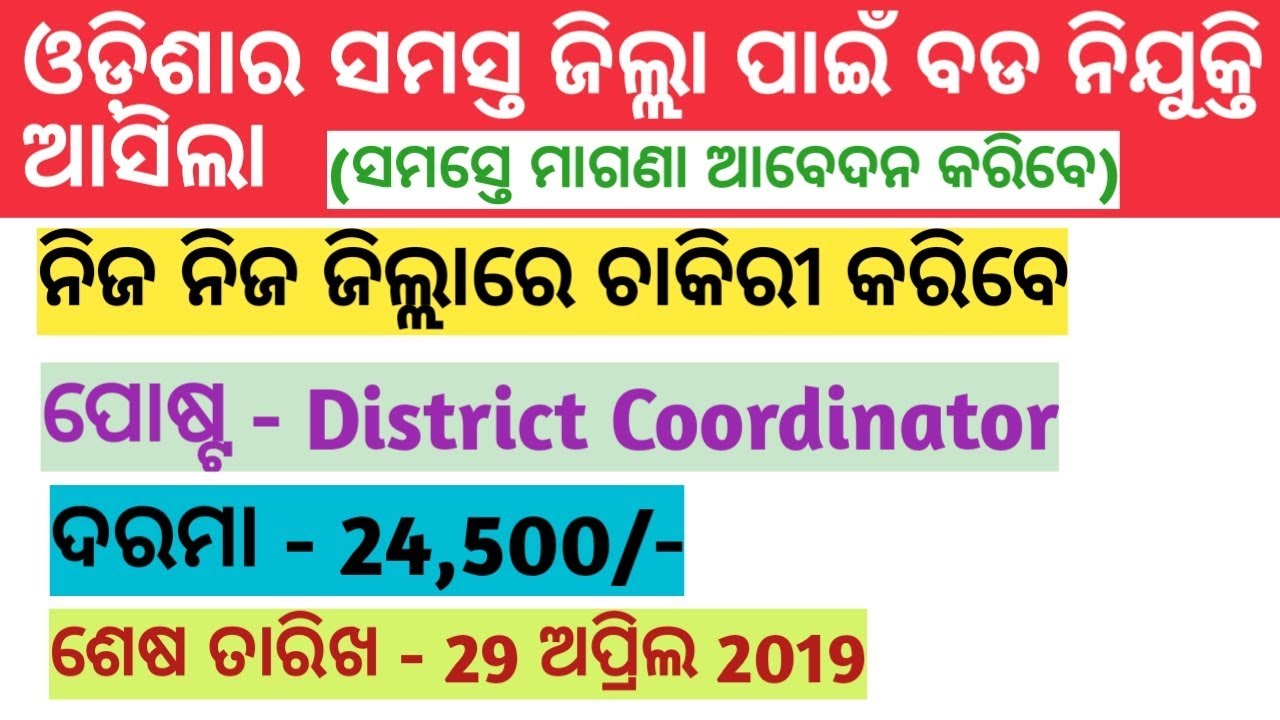 Job In Every District Of Odisha 2019 | Latest Job updates Odisha 2019