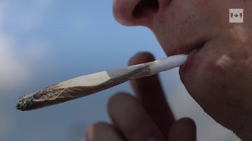 Molson is moving into the cannabis beverage market