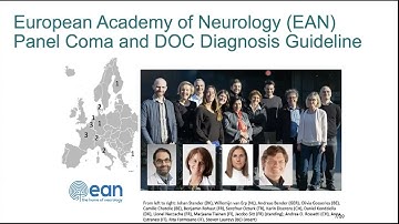 Diagnosis of Patients with Disorders of Consciousness