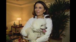 Conheça a cadela que vive em suíte de um dos hotéis mais luxuosos do mundo