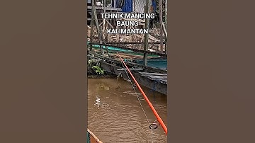 Begini cara mancing baung babon di spot lanting rumah apung #fishing