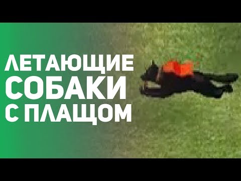 Видео: Лучшие чит - коды в видеоиграх. Часть 4. Топ читов из Sonic, Age of Empires, Doom и др.