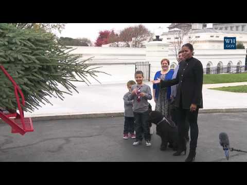 First Lady Michelle Obama Welcomes the Official White House Christmas Tree to the White House