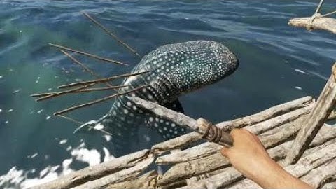 Hunting for a whale shark - Stranded Deep
