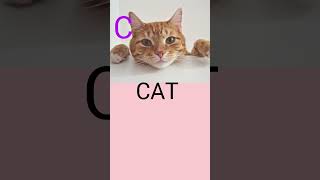 C for Cat | ABC Phonics Song | Learn ABC for Kids#lkg