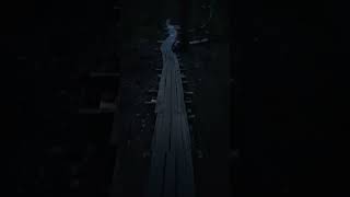 🎑Тропа Мага🌌 #magcorvus #хочуврек #shorts #путьмага #тропа #оккультизм #лес #леснаядорога #колдун