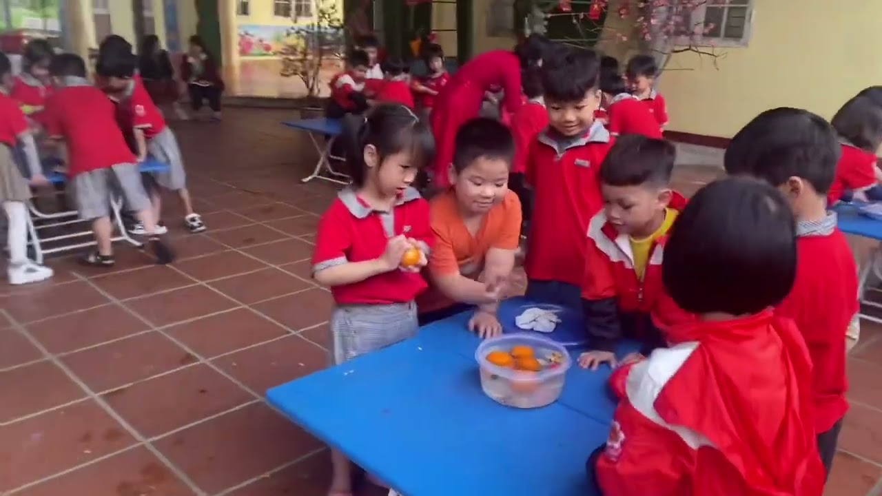 Hoạt động ngoài trời- Thí nghiệm vật chìm - nổi (Trẻ 5-6 tuổi )Gv: Trần Thị Hồng Gấm