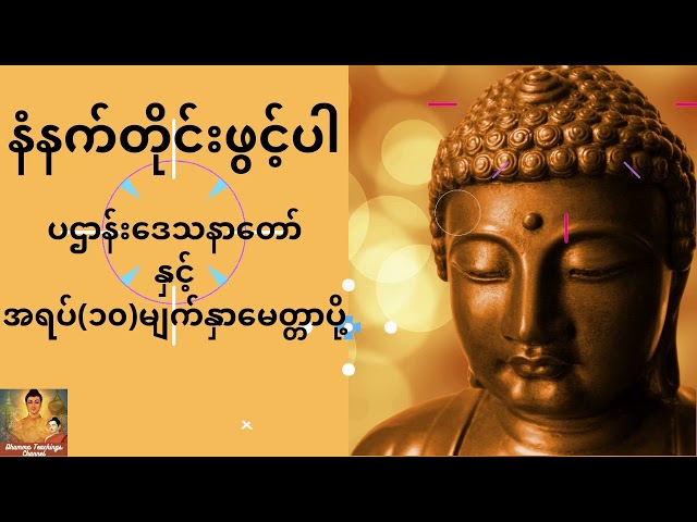 ပဌာန်းဒေသနာတော်ကြီးနှင့် အရပ် (၁၀) မျက်နှာမေတ္တာပို့ class=