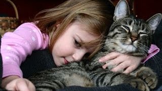 Katzen Lieben ihren Besitzer by Videos Germany 284,143 views 8 years ago 5 minutes, 3 seconds