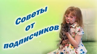 Содержание шиншиллы - Советы от ПОДПИСЧИКОВ - Уход за шиншиллой Содержание шиншиллы - Советы от ПОДПИСЧИКОВ - Уход за шиншиллой
