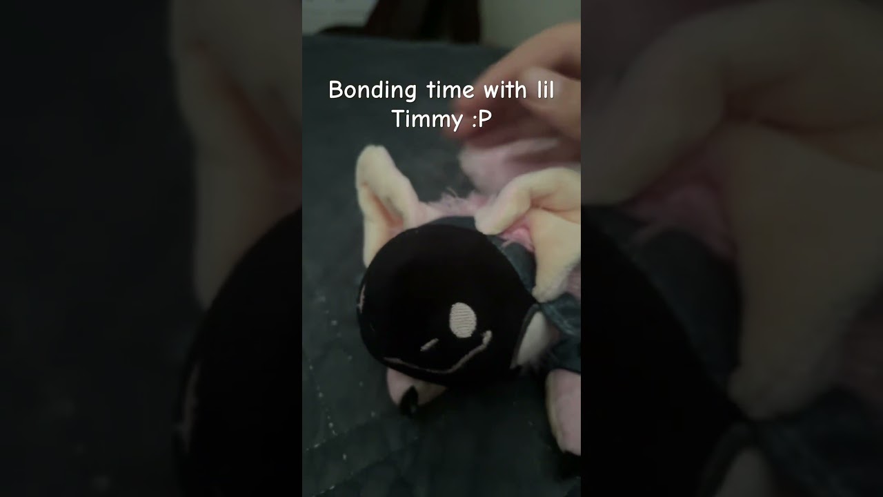 Bonding time with lil Timmy :P 