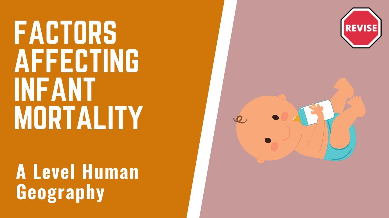 A Level Human Geography - Factors Of Infant Mortality Rates